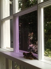 Window Restoration Villanova